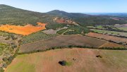 Sassari 90000 m² Weinberge, Olivenhain und Bauland! Grundstück kaufen