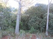 Valdemossa Baugrundstück mit Projekt und Meerblick zu verkaufen Grundstück kaufen