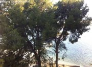 Santa Ponsa sehr gepflegtes Apartment in Santa Ponsa zu verkaufen erste Meereslinie Wohnung kaufen