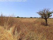 Felanitx Zwischen Himmel und Erde - Naturgrundstück mit Fernsicht bei Felanitx Grundstück kaufen