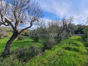 Campanet Wir bauen Ihre Traum-Finca ! Grundstück kaufen