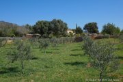 Santa María del Camí ***Traumfinca in perfektem Zustand mit Olivenölproduktion, Santa Maria, Mallorca*** Haus kaufen