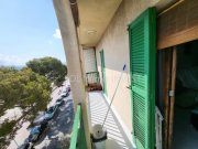 Alcúdia Helle 2 Zimmer Wohnung in der ERSTEN Meereslinie! Wohnung kaufen