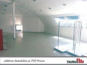 Belek Vermietetes Einkaufszentrum im Touristikbereich | Sehr gute Mieteinnahme Gewerbe kaufen