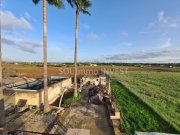 Muro Eine Finca als Projekt Haus kaufen