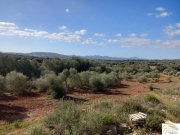 Manacor Moderne Luxusfinca mit individuellem Ausbaupotenzial auf 24.416 m² Privatgrundstück in Mallorca Haus kaufen