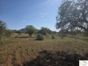 Sant Llorenç des Cardassar Exklusives Baugrundstück mit mediterraner Ruhe und Weitblick nahe Sant Llorenç des Cardassar Grundstück kaufen