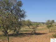 Sant Llorenç des Cardassar Exklusives Baugrundstück mit mediterraner Ruhe und Weitblick nahe Sant Llorenç des Cardassar Grundstück kaufen