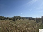 Sant Llorenç des Cardassar Exklusives Baugrundstück mit mediterraner Ruhe und Weitblick nahe Sant Llorenç des Cardassar Grundstück kaufen