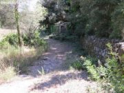 Arta Fincagrundstück für Individualisten Grundstück kaufen