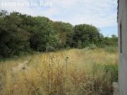 Arta Wild-romantische Finca in Ortsnähe aber in schöner, ruhiger Lage. Haus kaufen