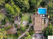 Harth-Pöllnitz Exklusive Natursteinfinca mit Gästehaus, Infinity Pool und ETV-Lizenz nahe Artà Haus kaufen