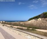 Großenstein 225 Hektar Einzigartiges Finca Grundstück in Capdepera zu verkaufen Idealfür einen Agroturismo, Luxuhotel,Pferde Ranch mit 