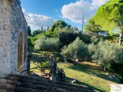 Großenstein Authentische Finca mit mediterranem Charme und altem Baumbestand bei Capdepera Haus kaufen