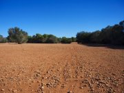 Campos Großes Anwesen nahe des Traumstrandes Es Trenc (Pferdehaltung möglich) Grundstück kaufen