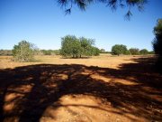 Campos Großes Anwesen nahe des Traumstrandes Es Trenc (Pferdehaltung möglich) Grundstück kaufen
