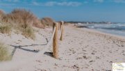 Sa Rapita Mediterrane Luxus-Neubaufinca mit Salzwasserpool und absoluter Privatsphäre nahe Es Trenc Haus kaufen