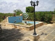 Ses Salines Stilvolle Finca mit Pool in Ses Salines mit touristischer Lizenz Haus kaufen
