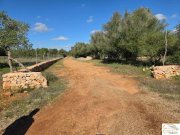 Porto Cristo Wunderschönes Baugrundstück mit Panoramablick und innovativem Finca-Projekt bei Porto Cristo Grundstück kaufen