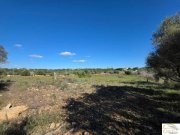 Porto Cristo Wunderschönes Baugrundstück mit Panoramablick und innovativem Finca-Projekt bei Porto Cristo Grundstück kaufen