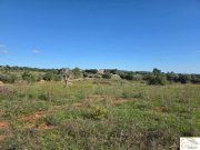 Porto Cristo Wunderschönes Baugrundstück mit Panoramablick und innovativem Finca-Projekt bei Porto Cristo Grundstück kaufen