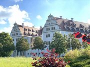 Zwickau Eine ganze Etage nur für Sie! DG-Wohnung, 4 Zimmer, Gäste-WC, Balkon, vermietet! Wohnung kaufen