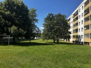 Zwickau Helle 3-Raumwhg. mit Loggia und EBK in Zwickau-Mosel! Wohnung kaufen