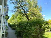 Zwickau Sanierungsbedürftige 1,5-Raumwohnung mit Balkon und Stellplatz in Marienthal! Wohnung kaufen