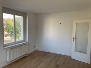 Zwickau Vermietete 2-Raum-Wohnung Marienthal! Nähe HBK! Wohnung kaufen