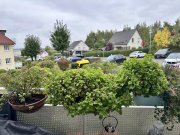 Zwickau Vermietete 2-Raumwohnung mit Balkon und Stpl. in ruhiger Lage! Zwickau-Cainsdorf! Wohnung kaufen