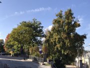 Kirchberg Ab 01.12.2025 frei! Schöne 2-Raum-Wohnung mit Balkon! Denkmalschutz! Wohnung kaufen