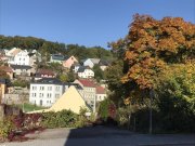 Kirchberg Ab 01.12.2025 frei! Schöne 2-Raum-Wohnung mit Balkon! Denkmalschutz! Wohnung kaufen