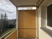 Glauchau 2-Raumwhg. mit Stellpl., 2 Garagen, EBK & Balkon in gepflegter Wohnanlage in Glauchau! Wohnung kaufen
