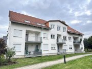 Glauchau Frisch renoviert! 2-Raumwhg. mit Balkon, TG-Stpl. (duplex, saniert), Neubau 1997! Leerstand! Wohnung kaufen