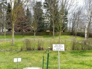 Werdau Vermietete 3-RWE mit Balkon, Stpl. und Tageslichtbad! Unmittelbare Nähe zur Koberbachtalsperre! Wohnung kaufen