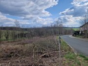 Neuensalz Baugrundstück mit B.-Plan für EFH/DHH, einzelne Parzellen verfügbar, ohne Bauträgerbindung Grundstück kaufen