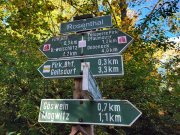 Oelsnitz/Vogtland 8.000 m² Grundstück an der A 72 Pirk/ Weischlitz Grundstück kaufen