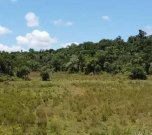 Acahay Acahay Estancia Kauf Farm 166 Hektar - 13129 Gewerbe kaufen