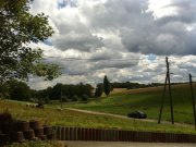 Taura Saniertes und vollvermietetes Mehrfamilienhaus mit SP und Balk. in guter Lage Haus kaufen