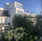 Berlin Hochwertige Dachterrassen-Wohnung, Blick auf den Fernsehturm, gut vermietet Wohnung kaufen