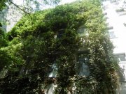 Berlin INVESTMENT PROPERTY: TWO ROOM FLAT IN MOABIT IN A AMAZING ALT BAU + 1,87 % YIELD Wohnung kaufen