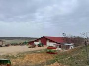 Pitesti Farm 770 ha Agrarland Getreideanbau - ra-770ha Haus kaufen