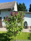 Berlin Nur ca. 95 km bis Berlin *** Gepflegtes Haus -barrierefrei- am Ortsrand mit Fernblick, Stall und Garage *** Haus kaufen