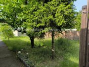 Berlin Berlin-Altglienicke
Bungalow - Einfamilienhaus mit schönem großem Garten und viel Nebengelass Haus kaufen