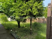 Berlin Berlin-Altglienicke
Bungalow - Einfamilienhaus mit schönem großem Garten und viel Nebengelass Haus kaufen