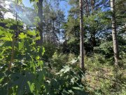 Berlin Ruhiges Baugrundstück nahe Dahme: Platz für zwei Einfamilienhäuser Grundstück kaufen