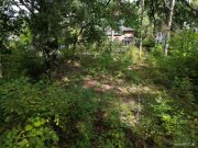 Berlin Ruhiges Baugrundstück nahe Dahme: Platz für zwei Einfamilienhäuser Grundstück kaufen