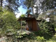 Berlin Ruhiges Baugrundstück nahe Dahme: Platz für zwei Einfamilienhäuser Grundstück kaufen