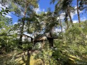 Berlin Ruhiges Baugrundstück nahe Dahme: Platz für zwei Einfamilienhäuser Grundstück kaufen