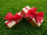 Schönefeld (Landkreis Dahme-Spreewald) Bezugsfreie Dachgeschoss-Wohnung im Grünen Wohnung kaufen